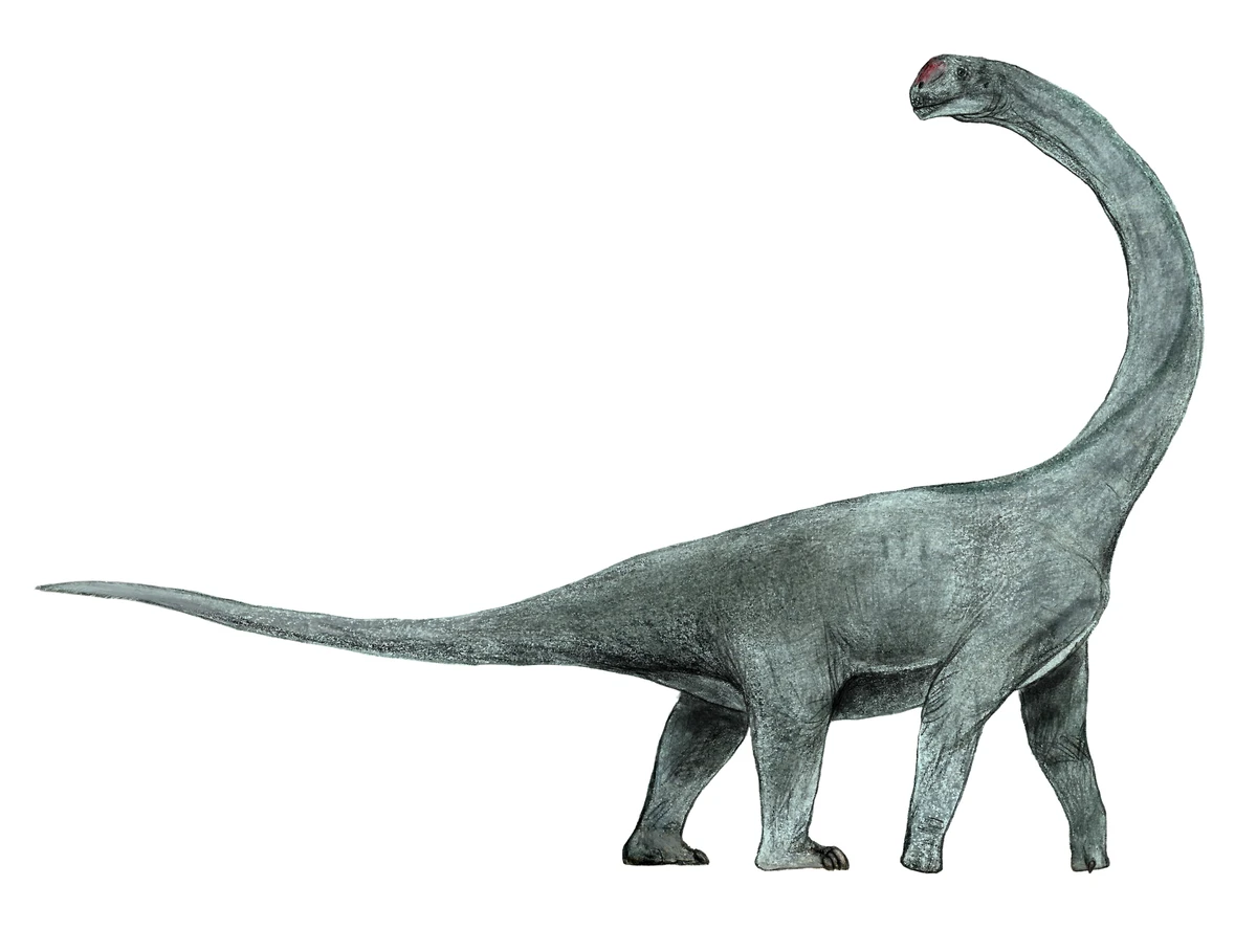 Ilustración paleontológica de Abrosaurus