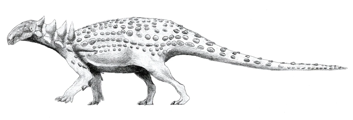 Ilustración paleontológica de Acantholipan