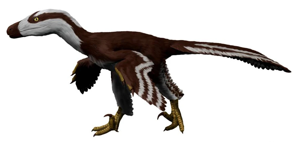 Ilustración paleontológica de Acheroraptor