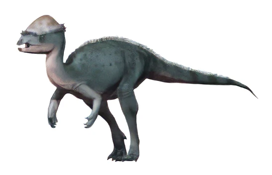 Ilustración paleontológica de Acrotholus