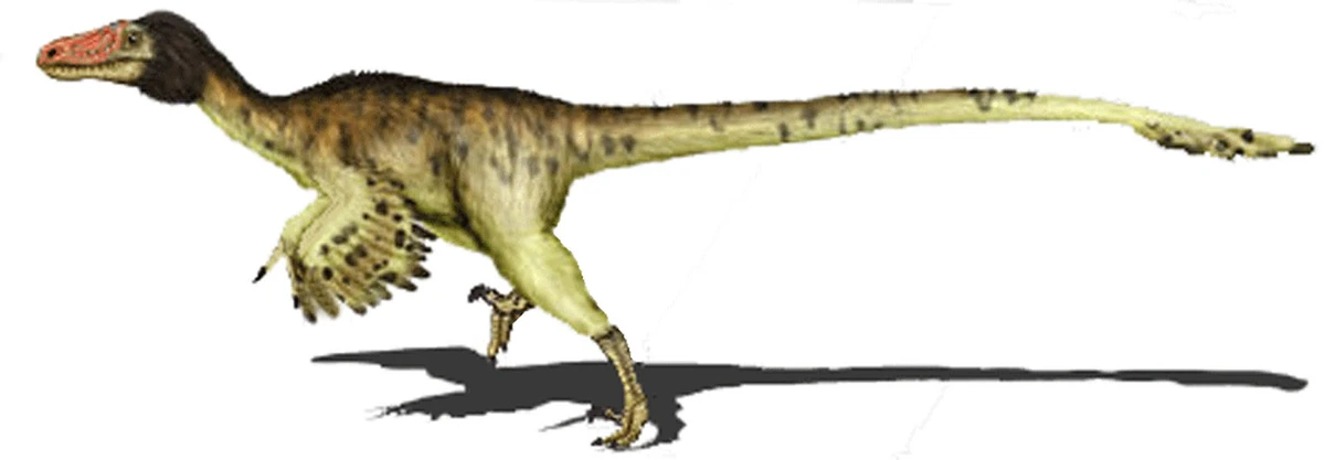 Ilustración paleontológica de Adasaurus