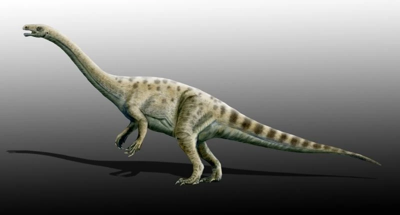 Ilustración paleontológica de Adeopapposaurus