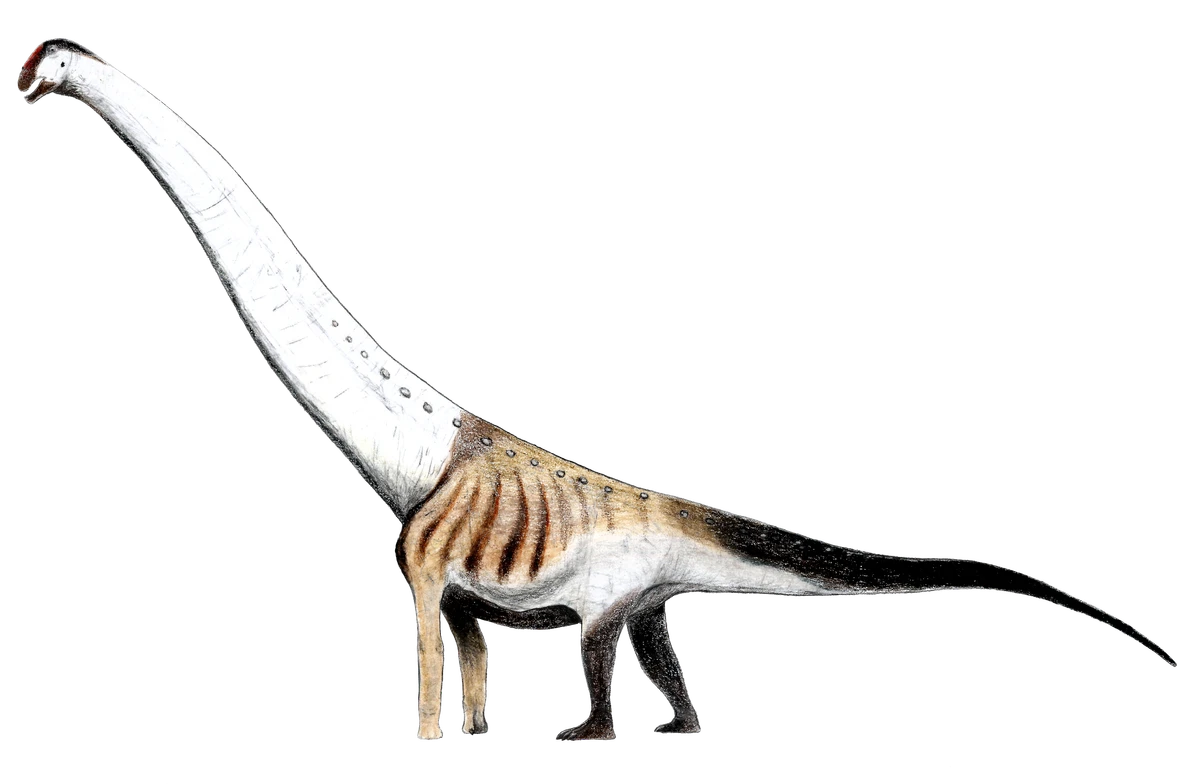 Ilustración paleontológica de Aegyptosaurus