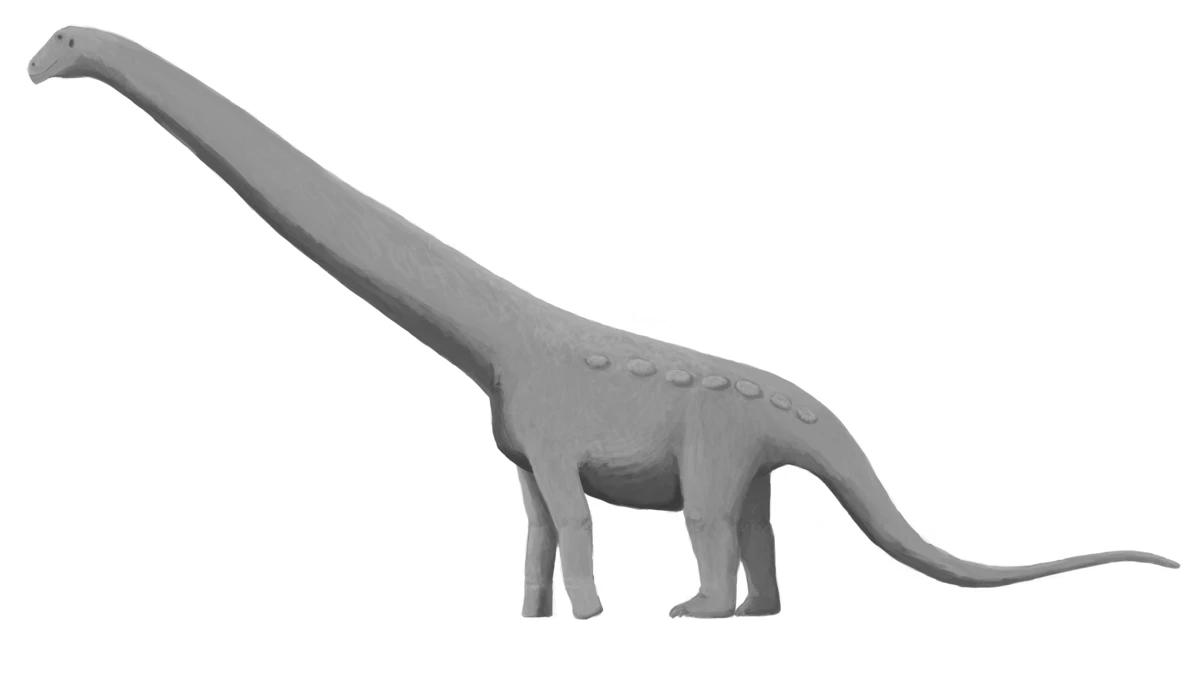 Ilustración paleontológica de Aeolosaurus