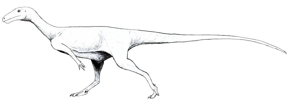 Ilustración paleontológica de Afromimus