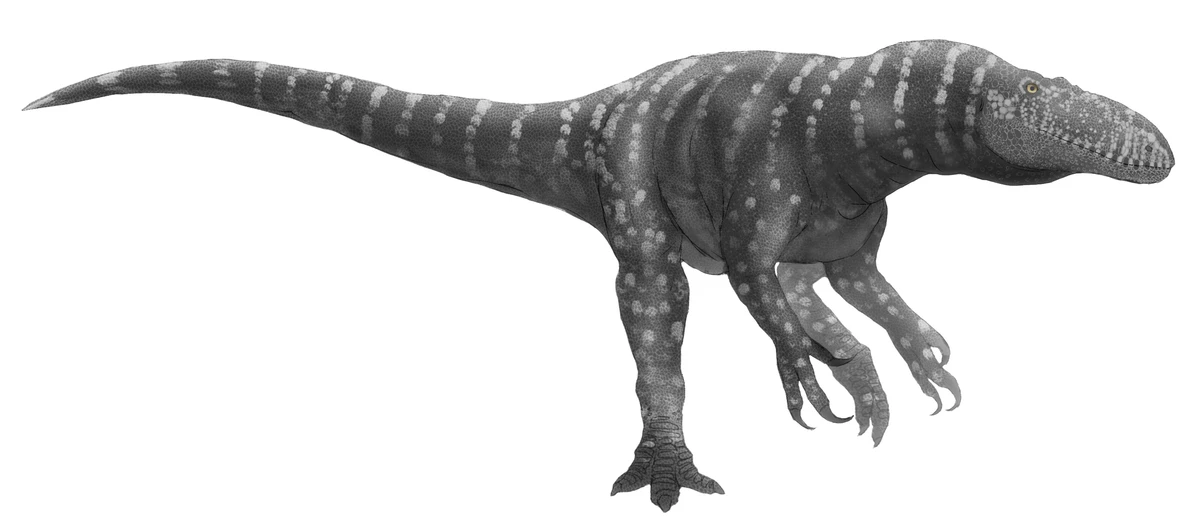 Ilustración paleontológica de Afrovenator