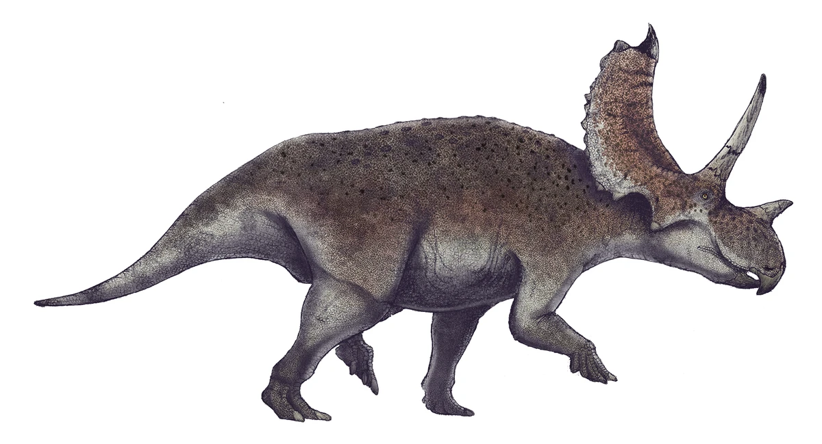 Ilustración paleontológica de Agujaceratops