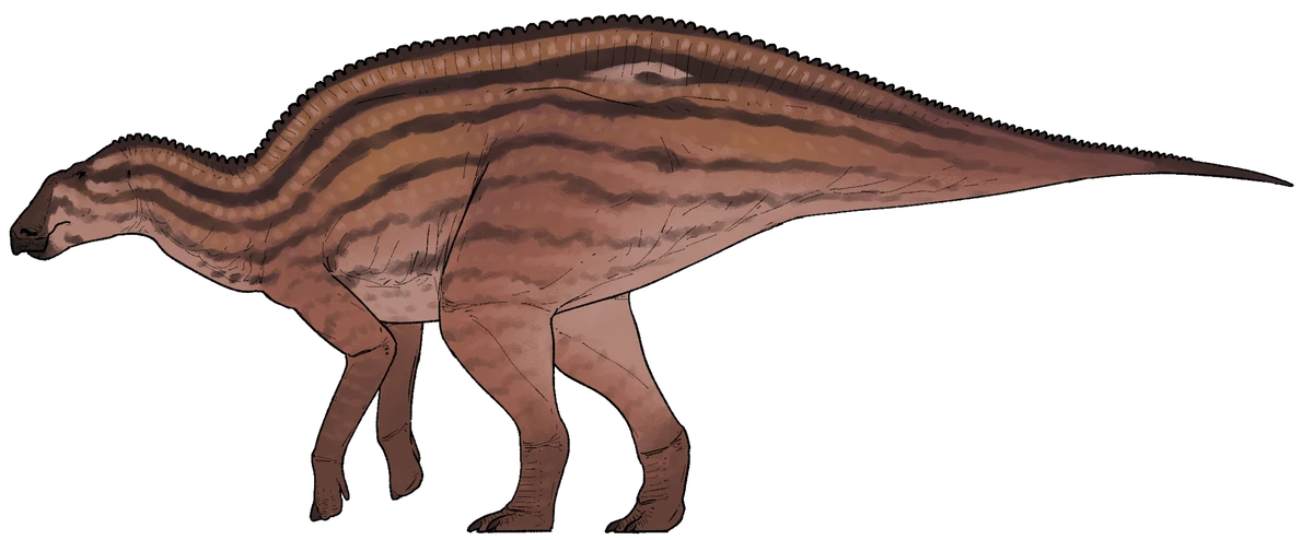Ilustración paleontológica de Ahshislesaurus