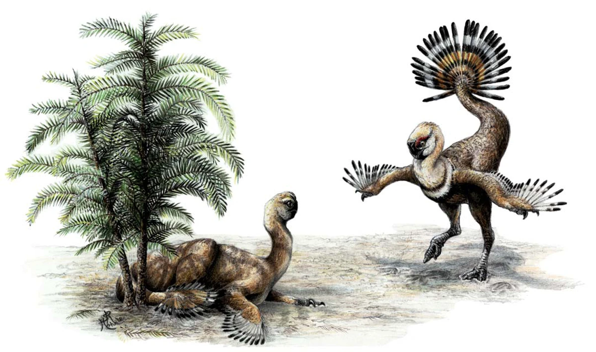 Ilustración paleontológica de Ajancingenia