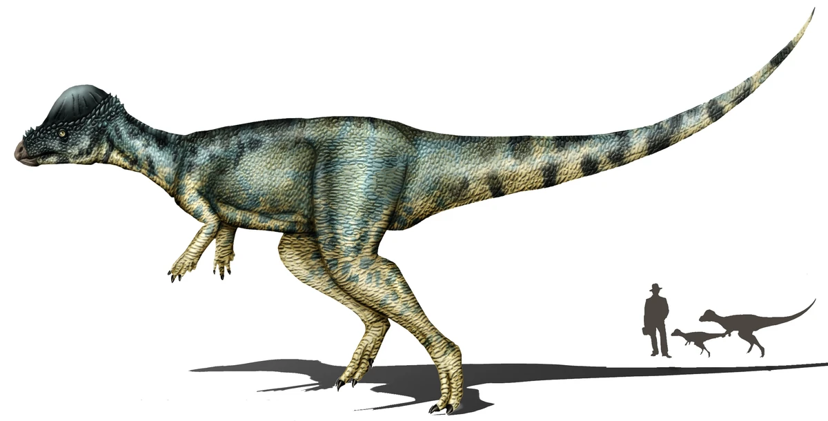 Ilustración paleontológica de Alaskacephale