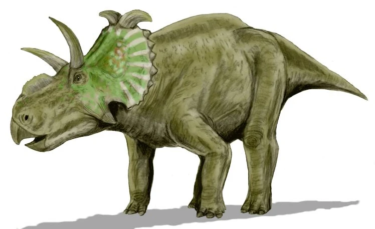 Ilustración paleontológica de Albertaceratops