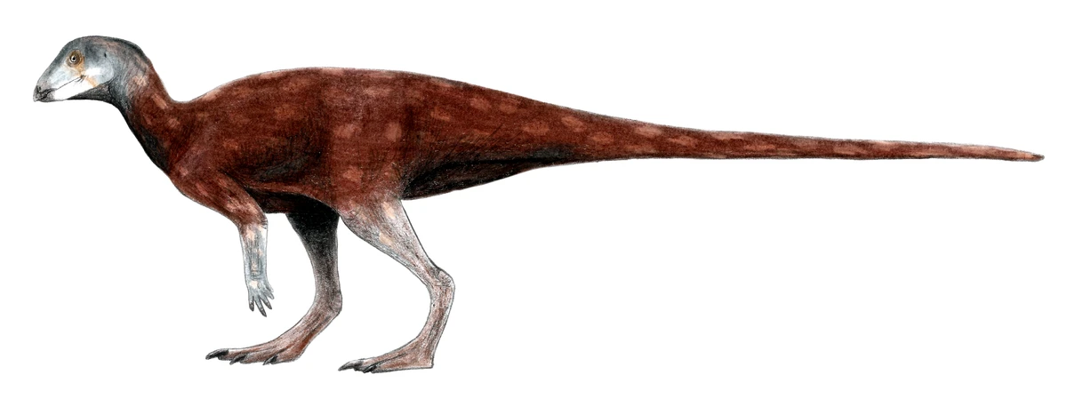 Ilustración paleontológica de Albertadromeus