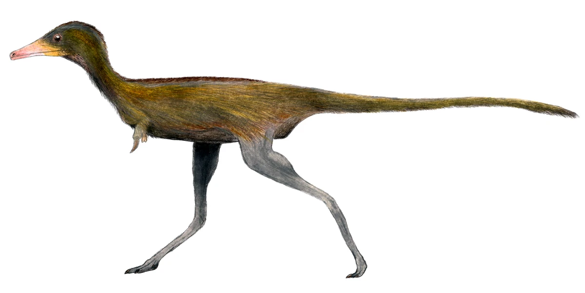 Ilustración paleontológica de Albinykus