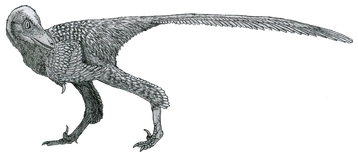 Ilustración paleontológica de Almas