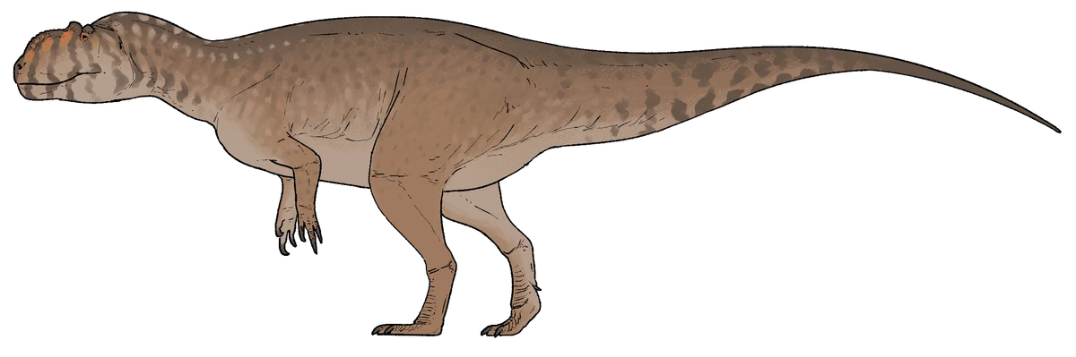 Ilustración paleontológica de Alpkarakush