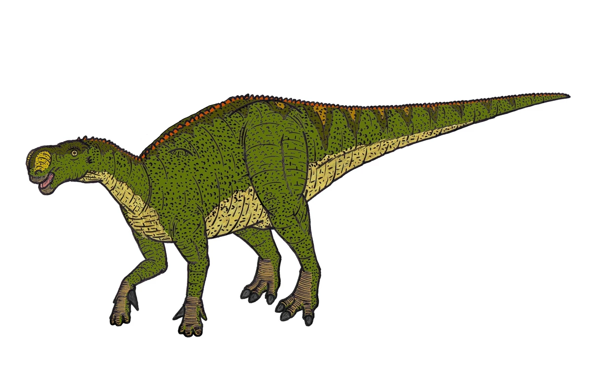 Ilustración paleontológica de Altirhinus