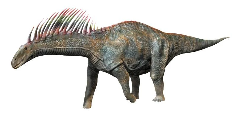 Ilustración paleontológica de Amargasaurus