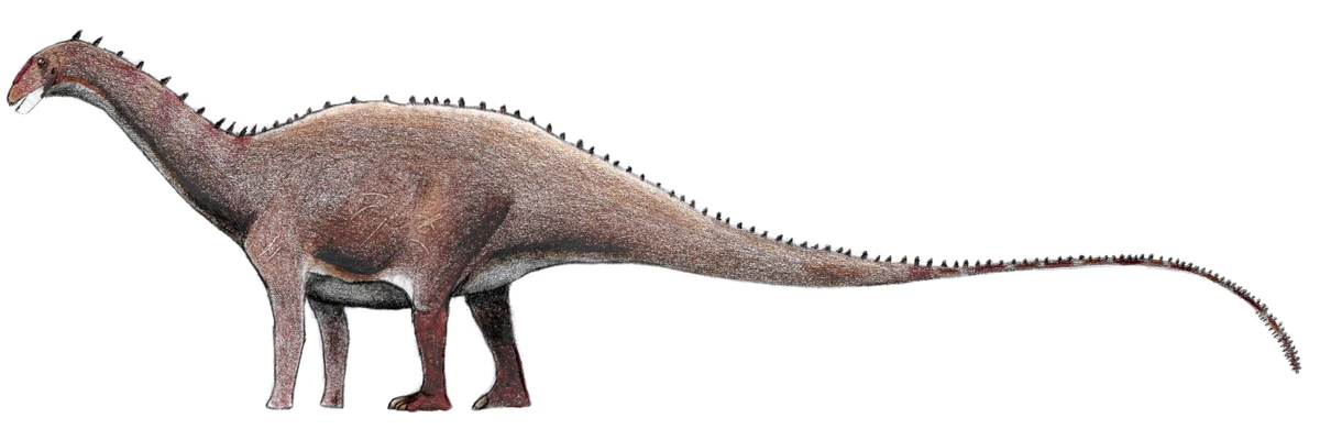 Ilustración paleontológica de Amargatitanis