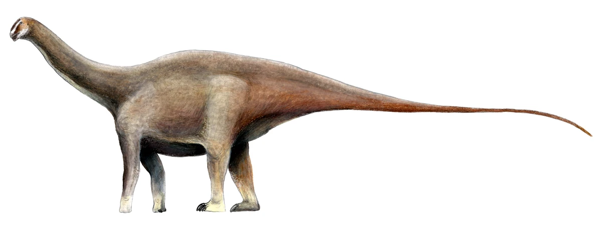 Ilustración paleontológica de Amazonsaurus