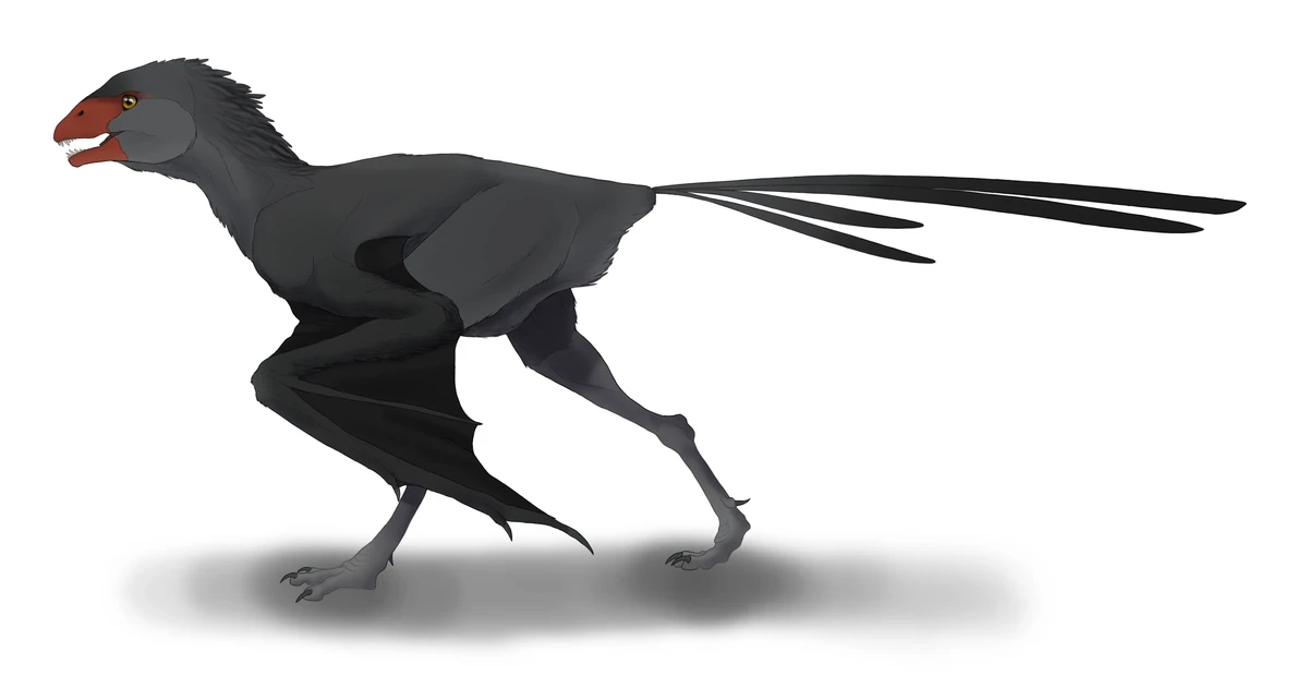 Ilustración paleontológica de Ambopteryx