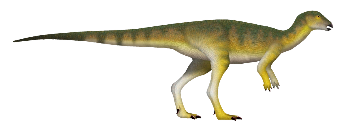Ilustración paleontológica de Ampelognathus