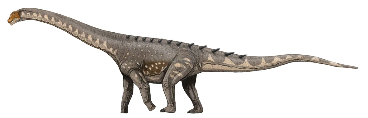 Ilustración paleontológica de Ampelosaurus