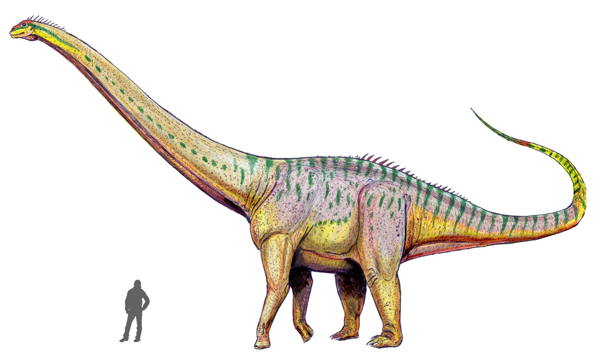 Ilustración paleontológica de Amphicoelias