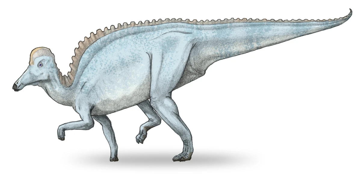 Ilustración paleontológica de Amurosaurus