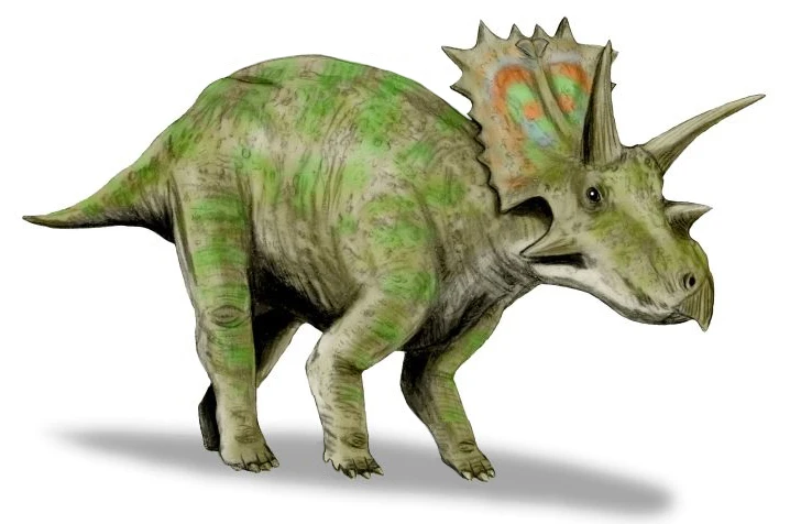 Ilustración paleontológica de Anchiceratops