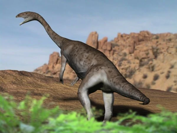 Ilustración paleontológica de Anchisaurus
