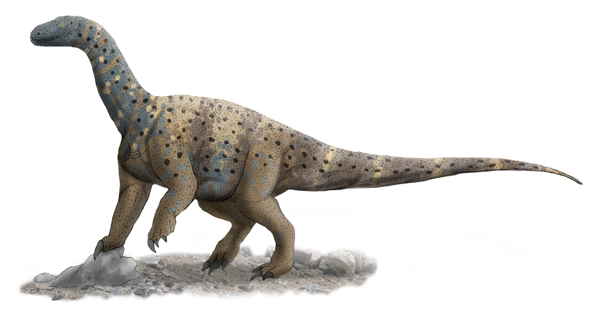Ilustración paleontológica de Antetonitrus