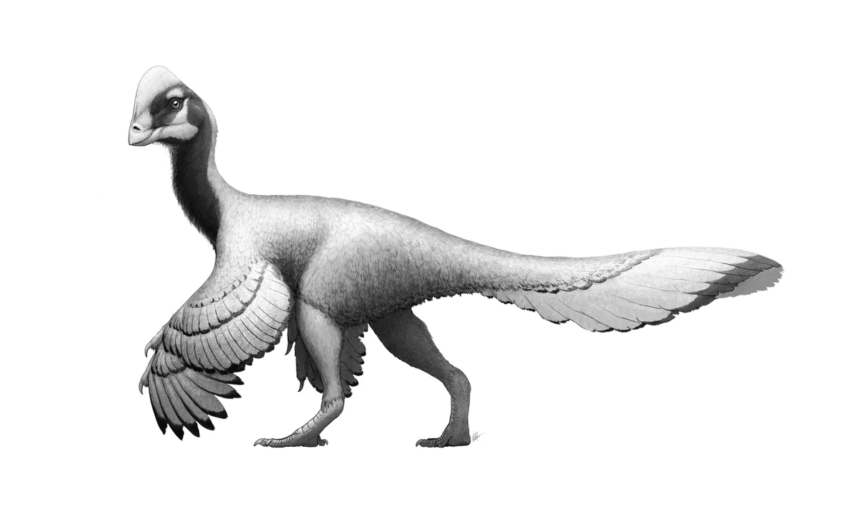Ilustración paleontológica de Anzu