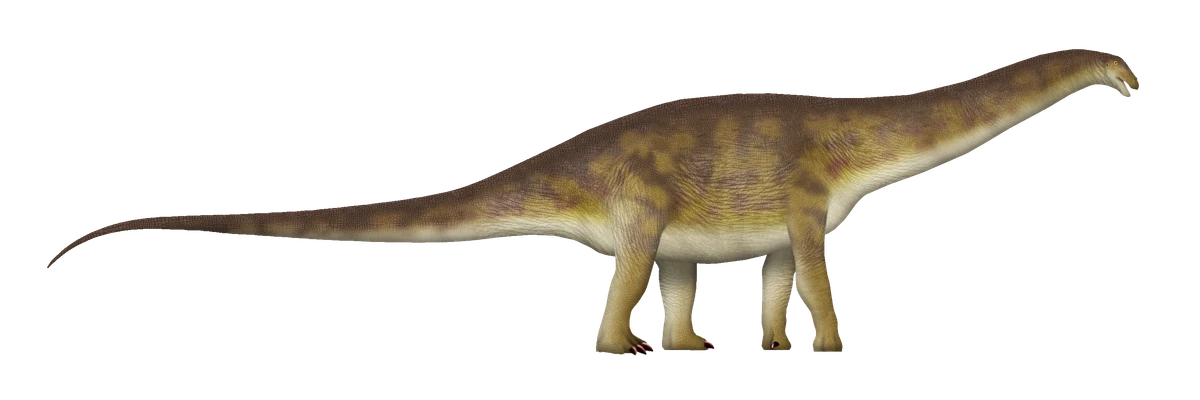 Ilustración paleontológica de Apatosaurus