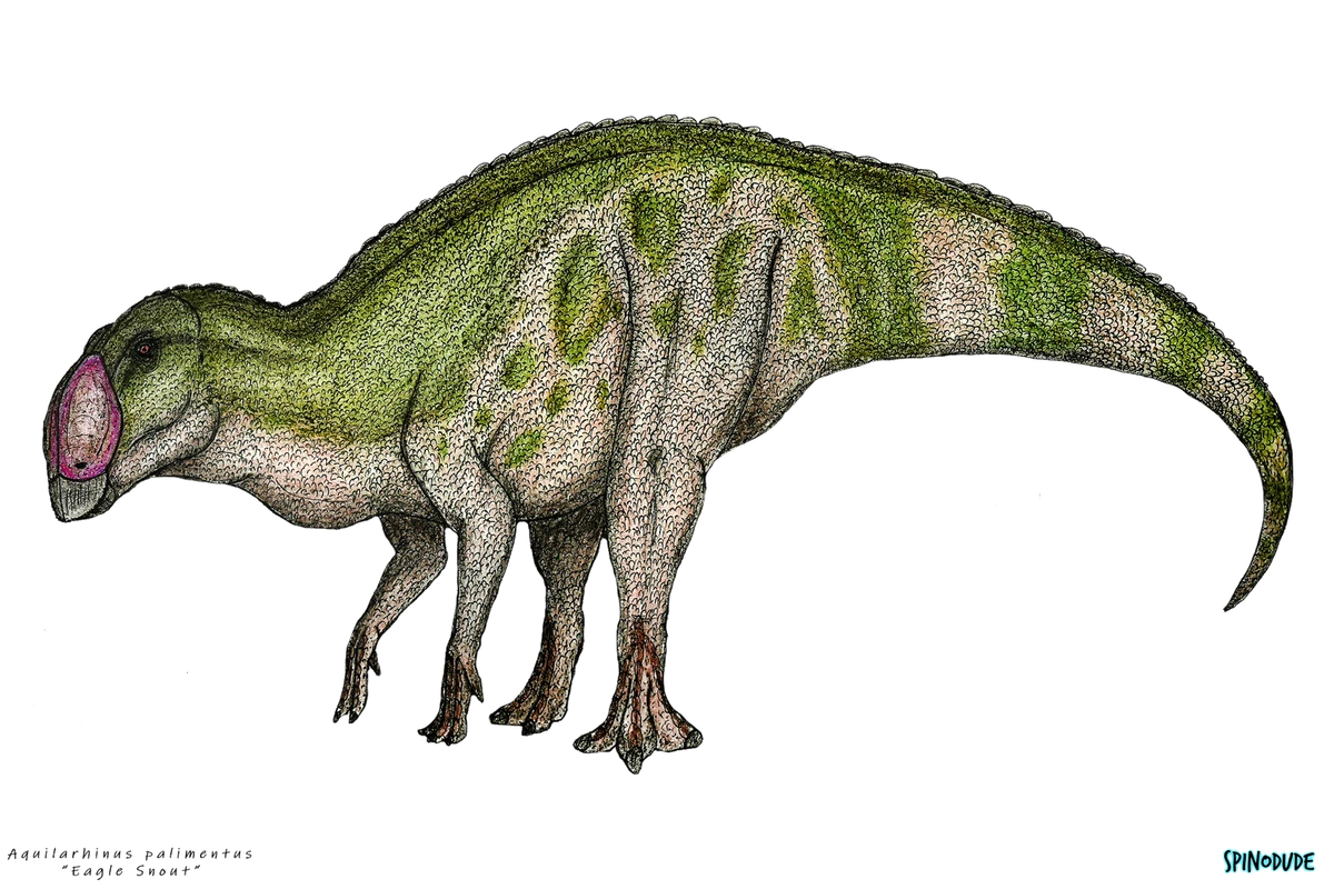 Ilustración paleontológica de Aquilarhinus