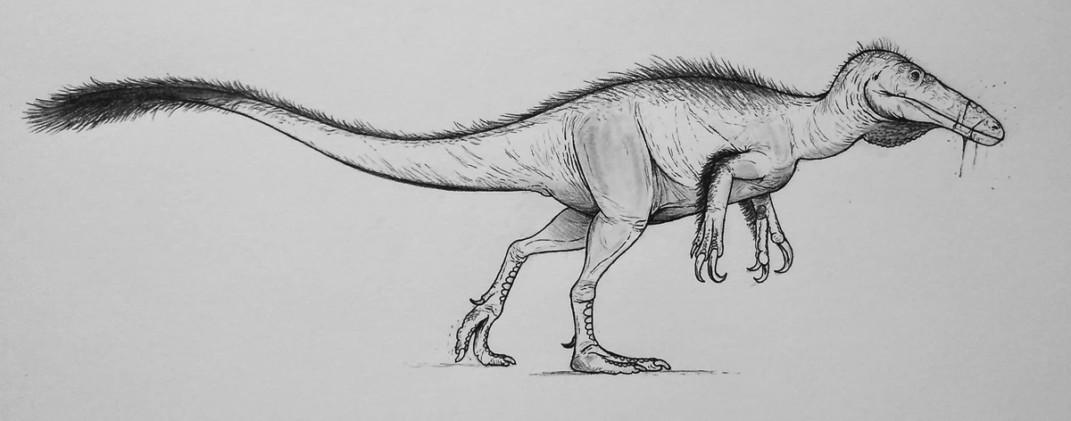 Ilustración paleontológica de Rapator